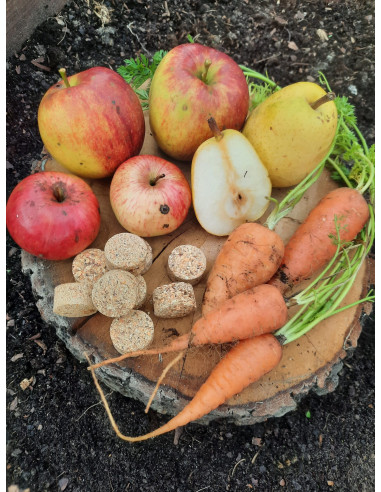 Natura Sanat - PRIMUŚKI Ciasteczka dla koni bio - 600g