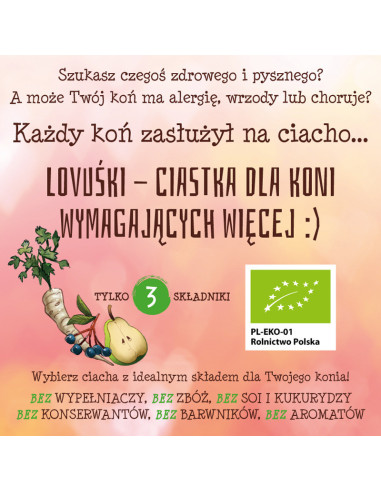 Natura Sanat - LOVUŚKI ciasteczka dla koni Bio - 600g