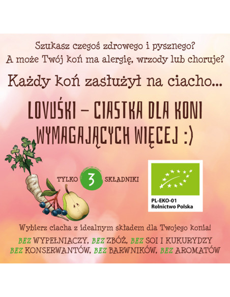 Natura Sanat - LOVUŚKI ciasteczka dla koni Bio - 600g