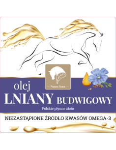 OLEJ LNIANY BUDWIGOWY - 4l - Natura Sanat