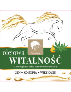 Olejowa WITALNOŚĆ - 2L - Natura Sanat