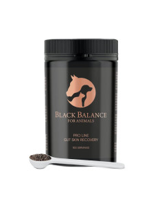 Black Balance PRO Line dla konia - 100 porcji