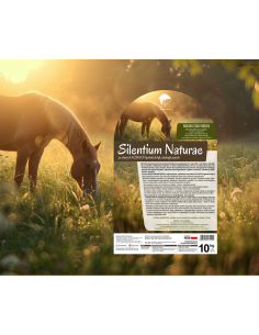 Sieczka SILENTIUM NATURAE