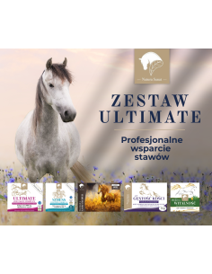 ZESTAW ULTIMATE "Profesjonalne wsparcie stawów"