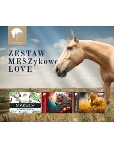 ZESTAW "MESZykowe LOVE"