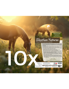 10x Sieczka SILENTIUM NATURAE 100kg (wysyłka PALETA)